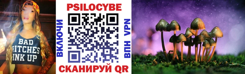 OMG как войти  Майский  Галлюциногенные грибы Cubensis 