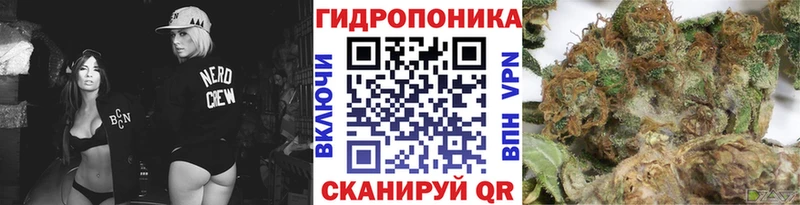 Шишки марихуана конопля  Майский 